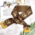 Louis Vuitton Scarf 011